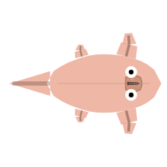 Appendage Length: Front Long