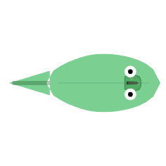 Body Colour (RGB): Green
