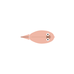 Body Scale: Mid