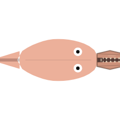 Carcass Feeding: Projected Hunter