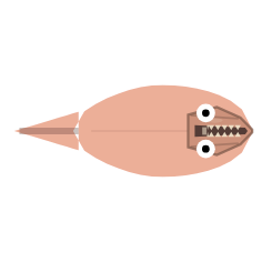 Carcass Feeding: Supported Cutter