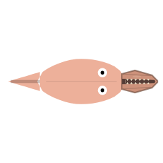 Feeding Mouth Shapes: Sharp Hunter