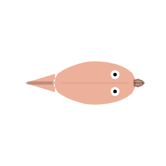 Mouth Width + Jaw Length: Narrow + Short