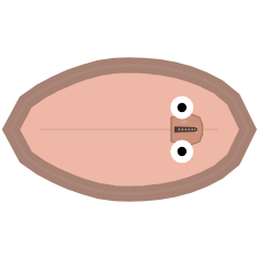 Shell Strength: Mid
