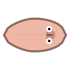 Shell Width: Mid