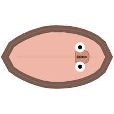 Shell Width: Thick