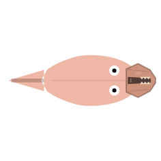 Tooth Sharpness: Mid